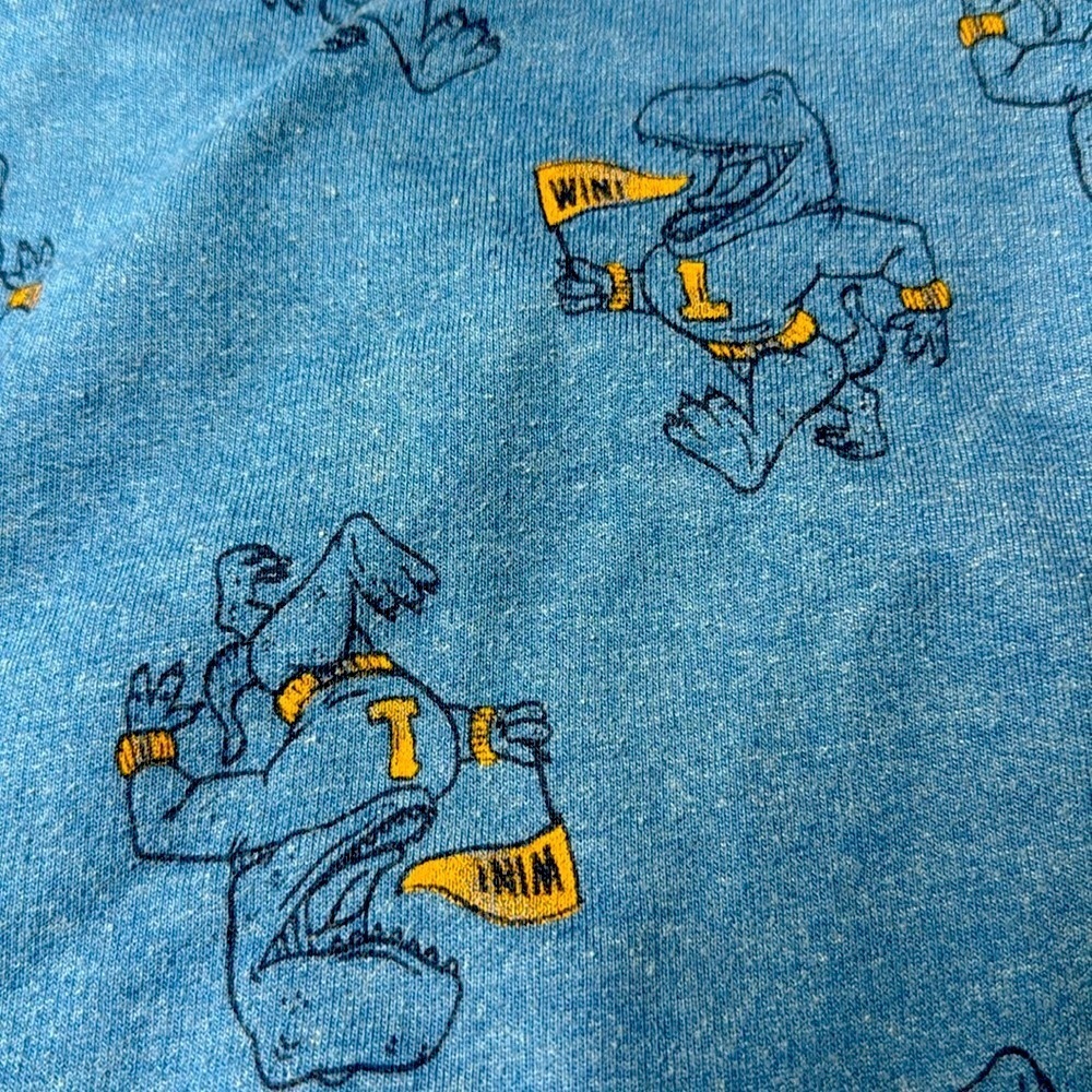Blue Dinosaur Print Sweatshirt and Pants Set - Picture 7 of 8